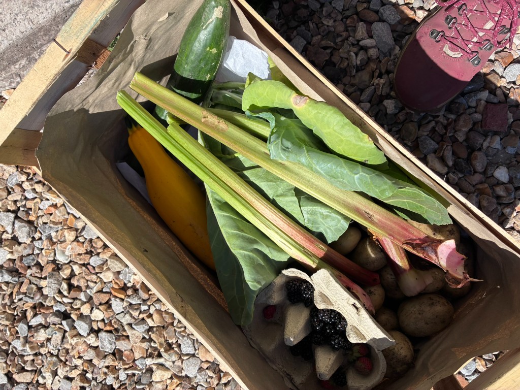 Fresh vegetables and berries from Sarah’s allotment in a wooden crate